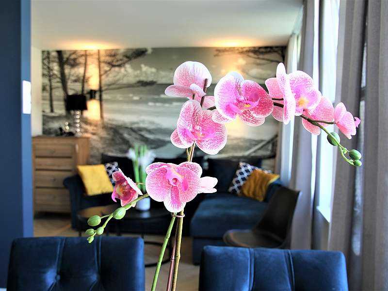Apartament nr 2