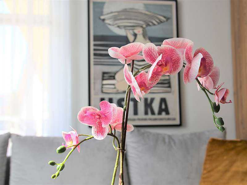 Apartament nr 3