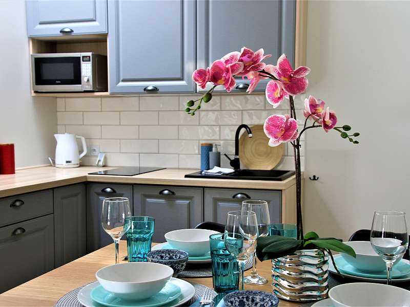 Apartament nr 6